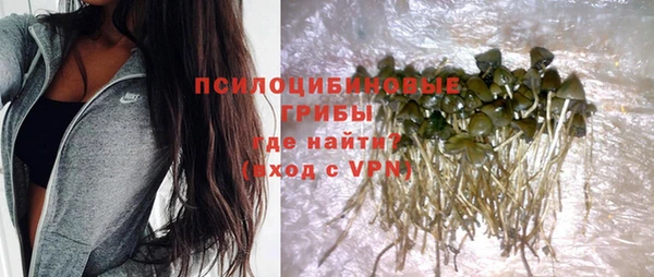 синтетический гашиш Алексеевка