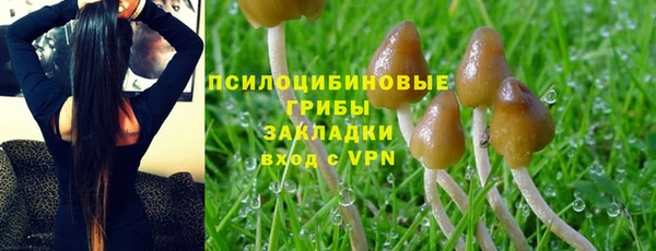 кокс Алзамай