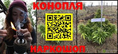 гидропоника Славгород