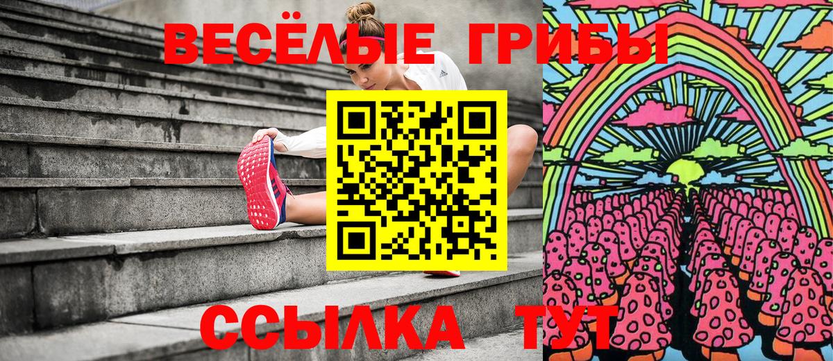 Галлюциногенные грибы GOLDEN TEACHER  Псилоцибиновые грибы ЛСД  Чапаевск  Вход с VPN 